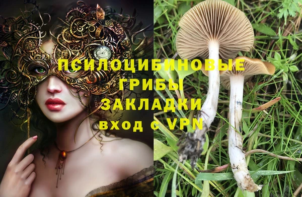 крисы Алзамай
