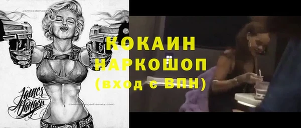 соль ск Алексин