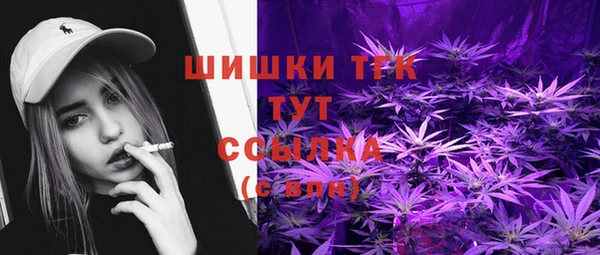 соль ск Алексин