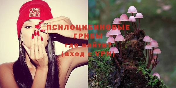 крисы Алзамай