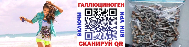 Псилоцибиновые грибы MAGIC MUSHROOMS  как найти   Раменское 