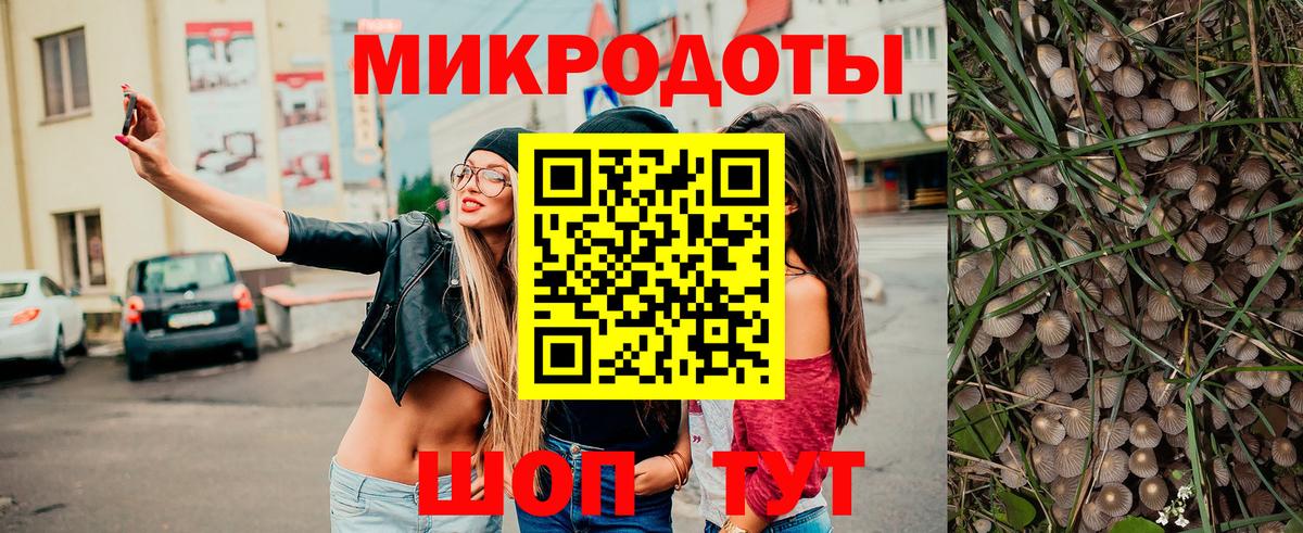 ГАШ Раменское