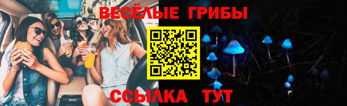 Галлюциногенные грибы MAGIC MUSHROOMS  Вход с VPN  купить наркотик  Раменское 